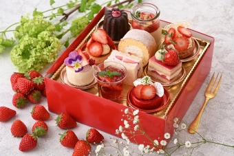 Sweets Box　～いちごの森Ver.～　
