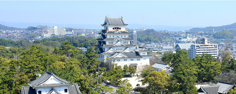 castle-view from your guestroom